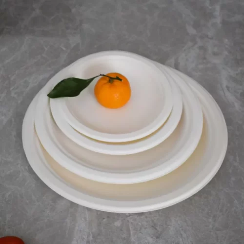 Set vaisselle compostable pour pique-nique