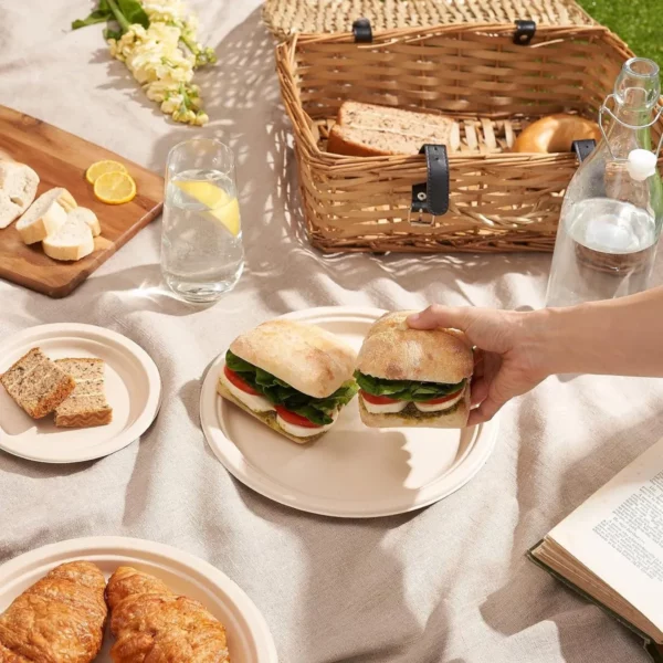 Set vaisselle compostable pour pique-nique – Image 5
