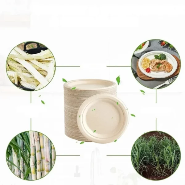 Set vaisselle compostable pour pique-nique – Image 7