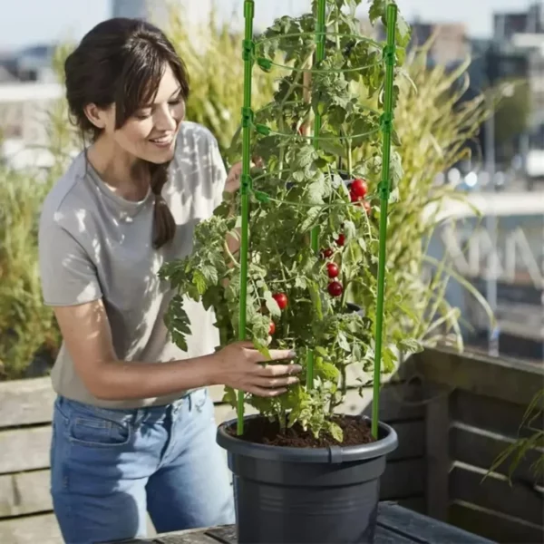 Support plantes grimpantes plastique vert modulable – Croissance optimale et décoration naturelle facile à installer – Image 4