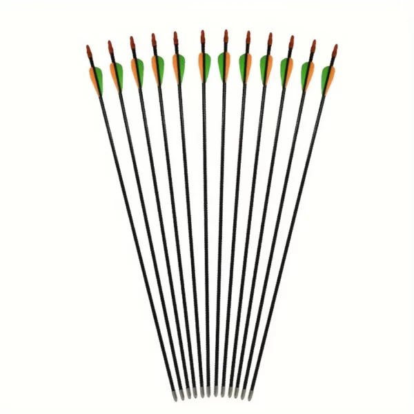 Lot de 12 flèches carbone arc