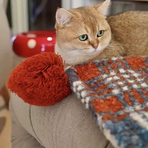 Plaid de Noël doux à carreaux rouges avec pompons – ambiance chaleureuse garantie